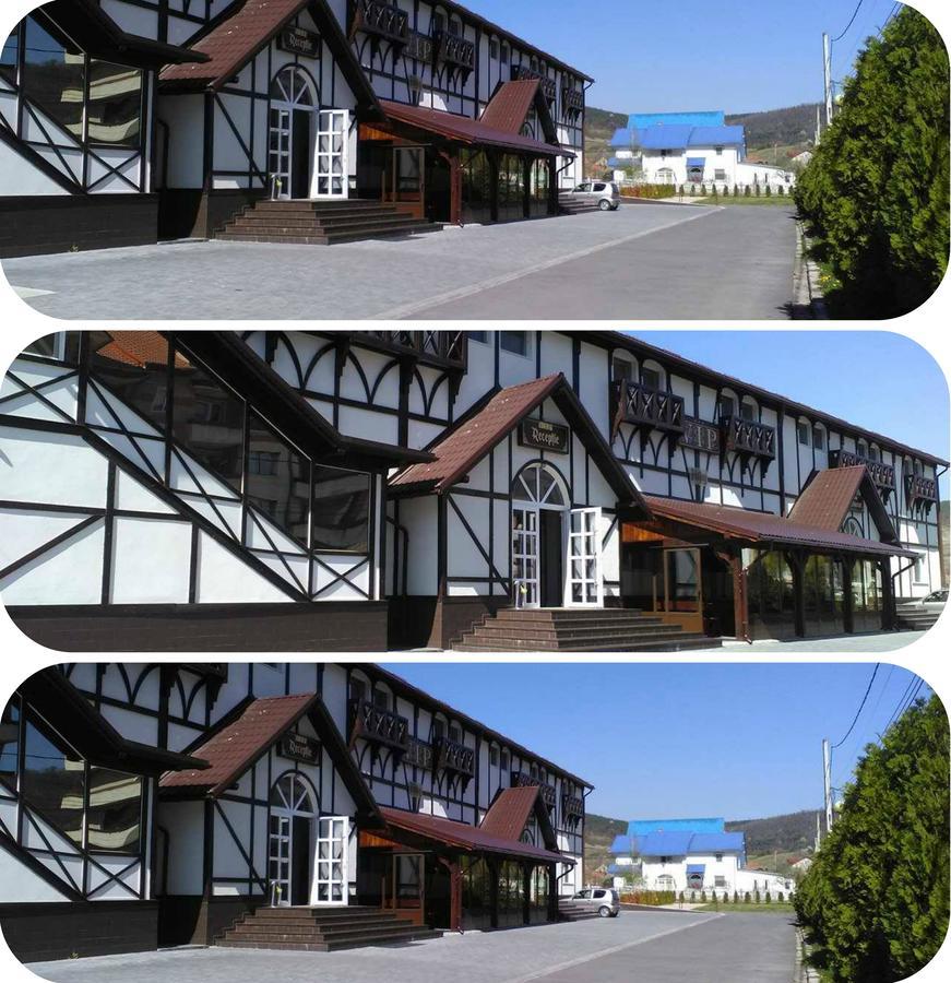Vip Motel Restaurant Haţeg 외부 사진
